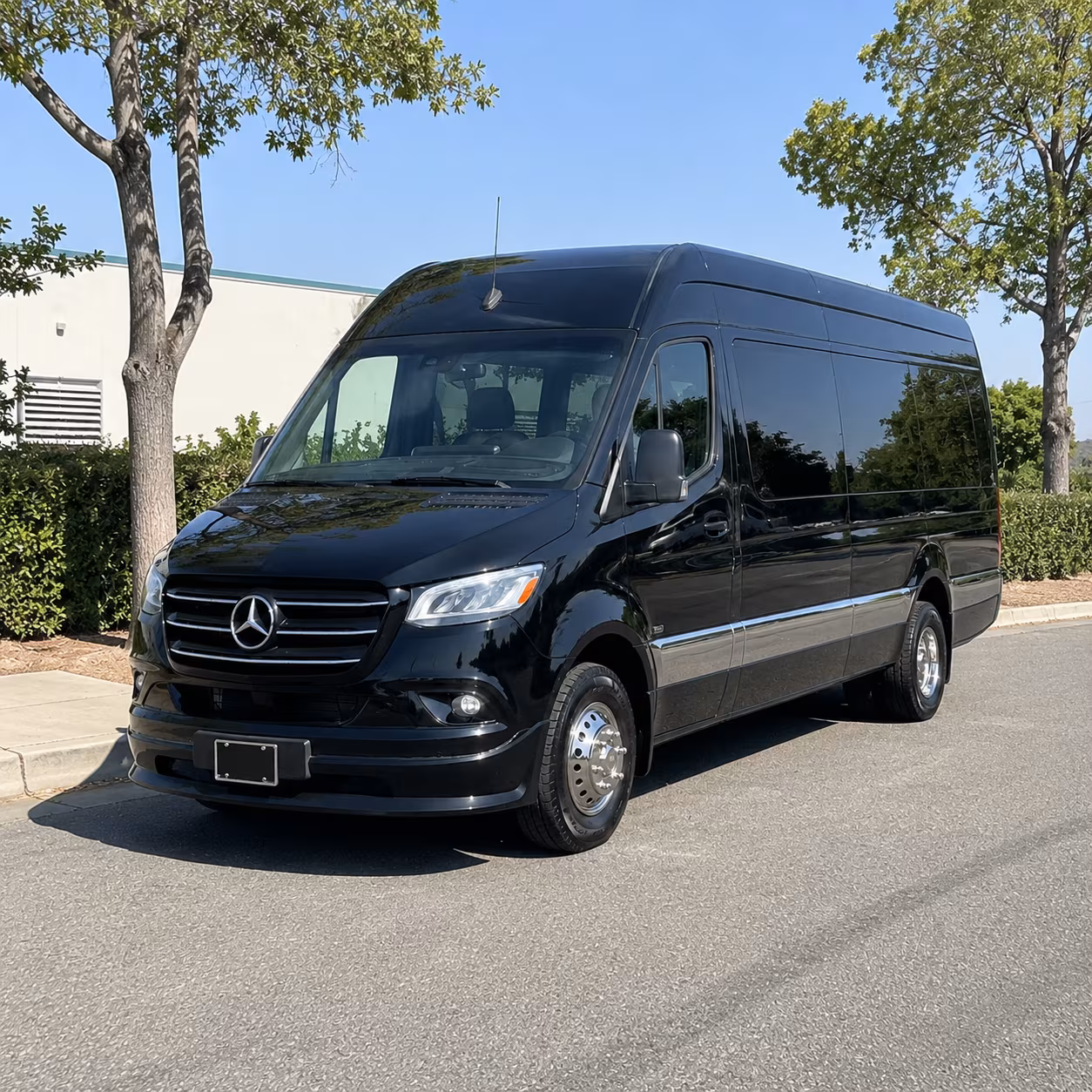 Chandler Wedding Transportation & Shuttle Service