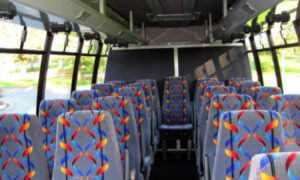 20 person mini bus rental Tucson